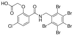 MK204 Structure