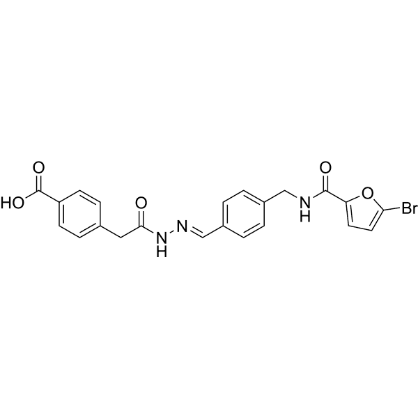 MMP13-IN-5 Structure