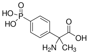 MPPG Structure