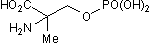 MSOP Structure
