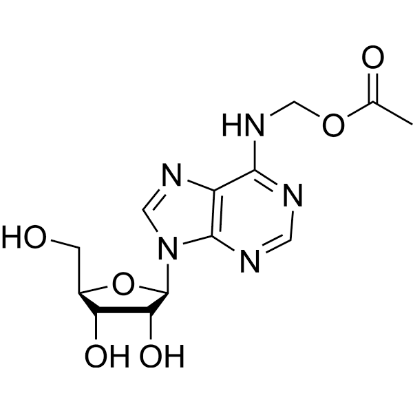 N6-Acetyloxymethyladenosine Structure
