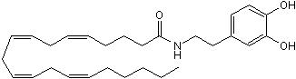 NADA Structure