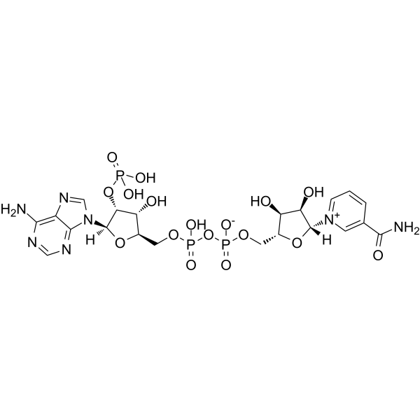 NADP Structure