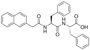 Nap-FF Structure