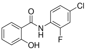 NDMC101 Structure