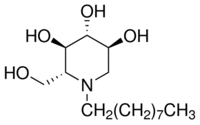 NN-DNJ Structure