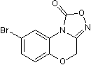 NS 2028 Structure