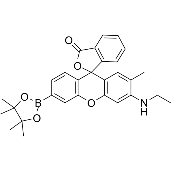 NucPE1 Structure