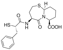 Omapatrilat Structure