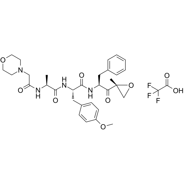 ONX-0914 TFA Structure