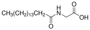 PalGly Structure