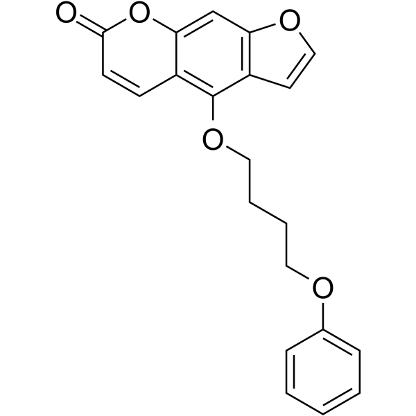 PAP-1 Structure