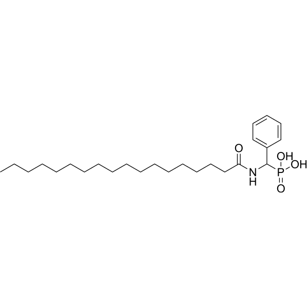 PAP-IN-1 Structure