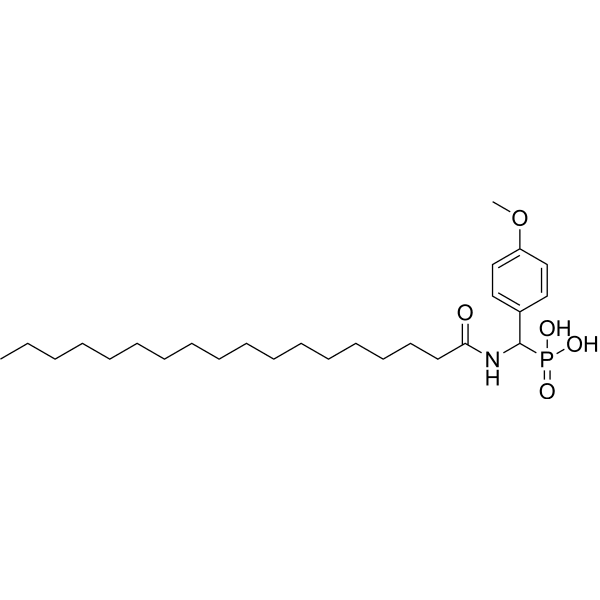 PAP-IN-2 Structure