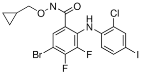 PD-184161 Structure