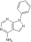 PP 3 Structure