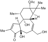 Prostratin Structure
