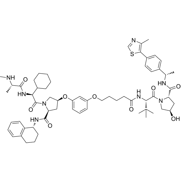 CST626 Structure