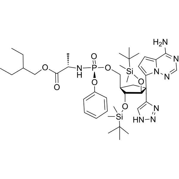 RdRP-IN-6 Structure