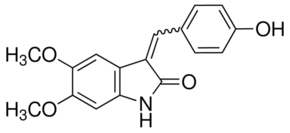 RPI-1 Structure