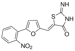 RTC13 Structure