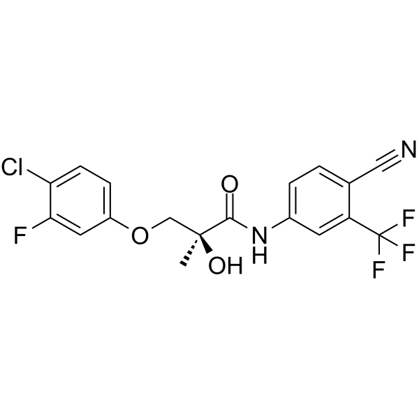 S-23 Structure