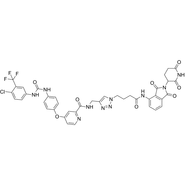 SA-PA Structure