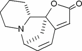 Securinine Structure