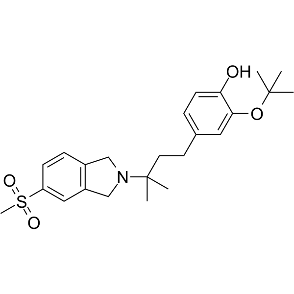 CT1812 Structure