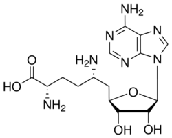 Sinefungin Structure