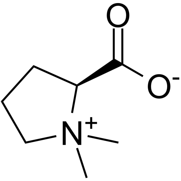 Stachydrine Structure