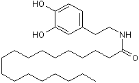 STEARDA Structure