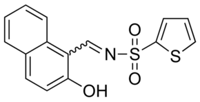 STF-083010 Structure