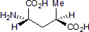 SYM 2081 Structure