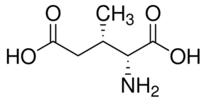 T3MG Structure