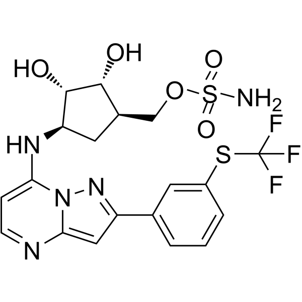 TAK-243 Structure