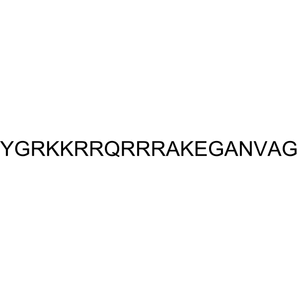 TAT-GluR23A Fusion Peptide Structure