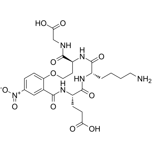 Tavilermide Structure