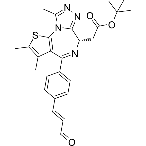 TMX1 Structure