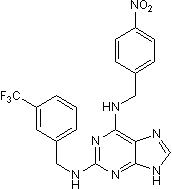 TNP Structure