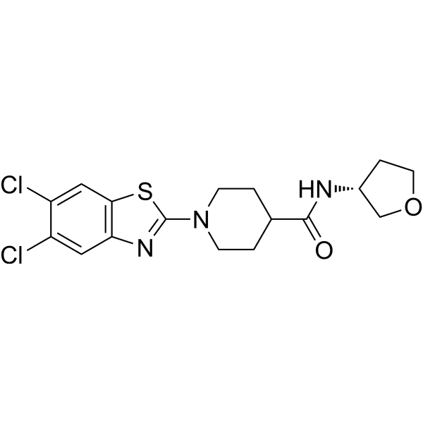 UT-11 Structure