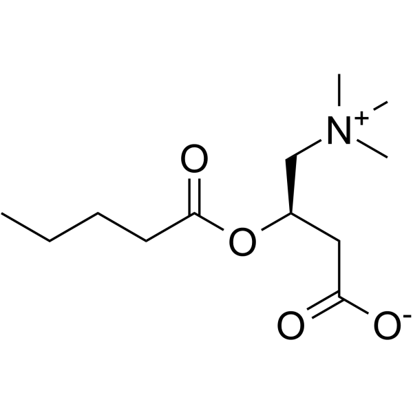 Valerylcarnitine Structure