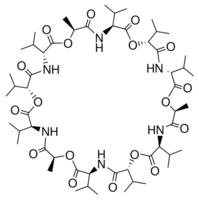 Valinomycin Structure