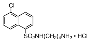 W-13 Structure