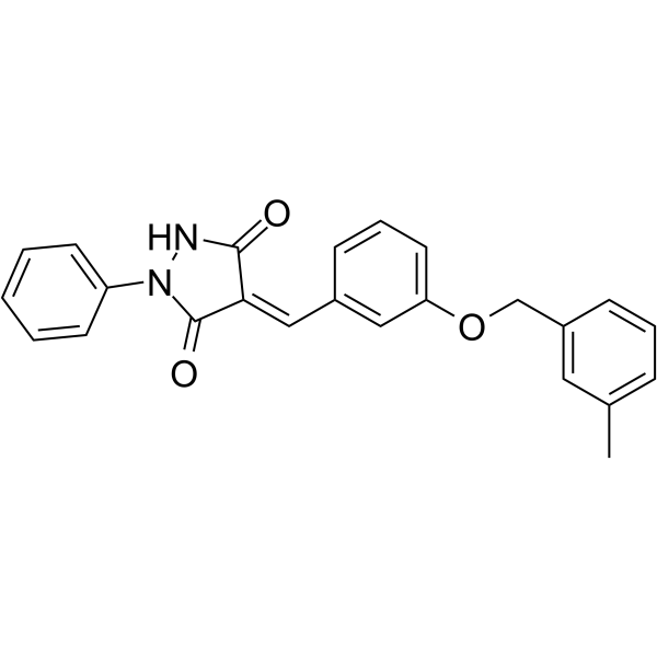 Y16 Structure