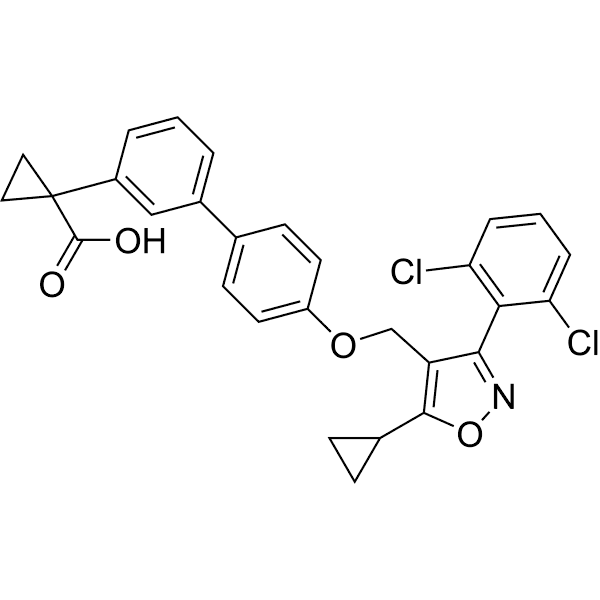 ZLY28 Structure
