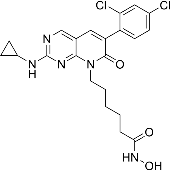 ZMF-23 Structure